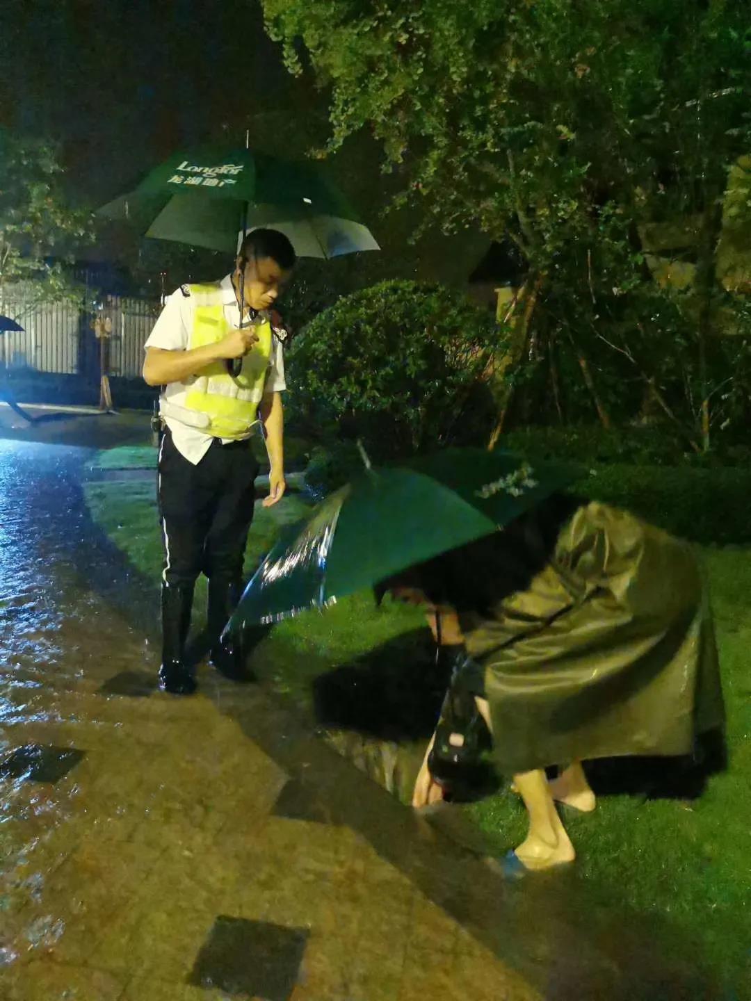 11龍湖
