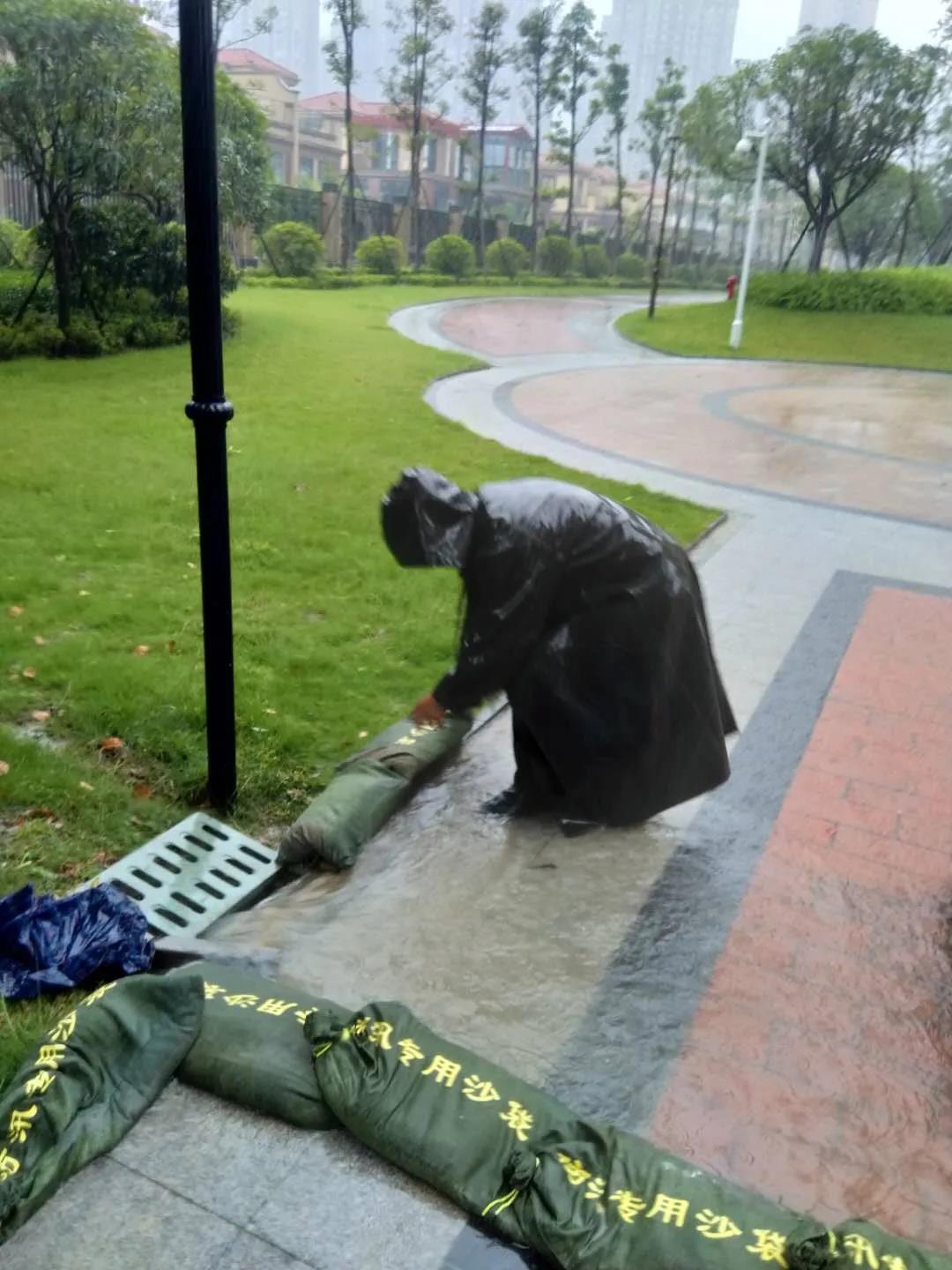52力寶