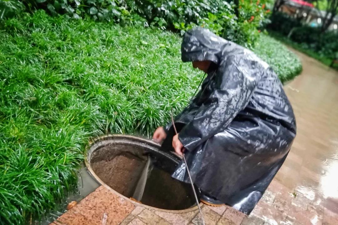 20潔華