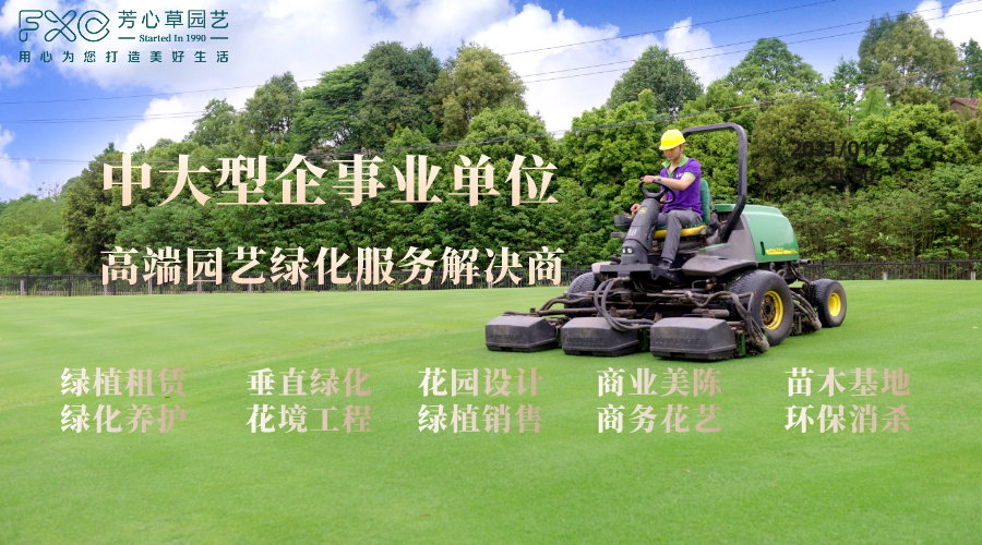 網(wǎng)站圖片
